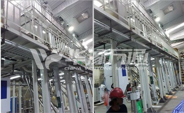 Congratulations on the Successful Commissioning of Thailand Mung Bean Peeling Line